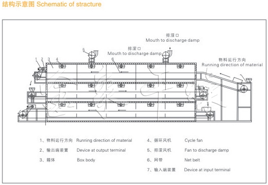 Dehydrated vegetable belt drying process Dehydrated vegetable belt drying process